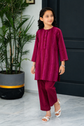 PyariPoshak Girls Exclusive Printed 2 Piece Suit – Modern Classic Look
